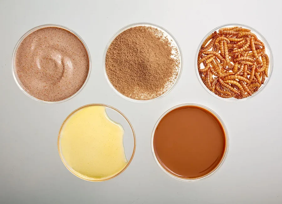 Sprÿng photo - product range